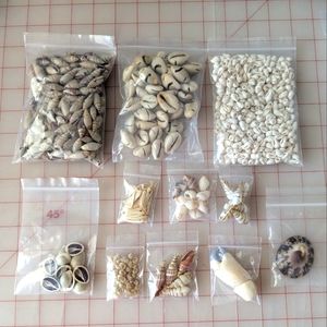Assorted Seashell Collection Of Beads And Shells